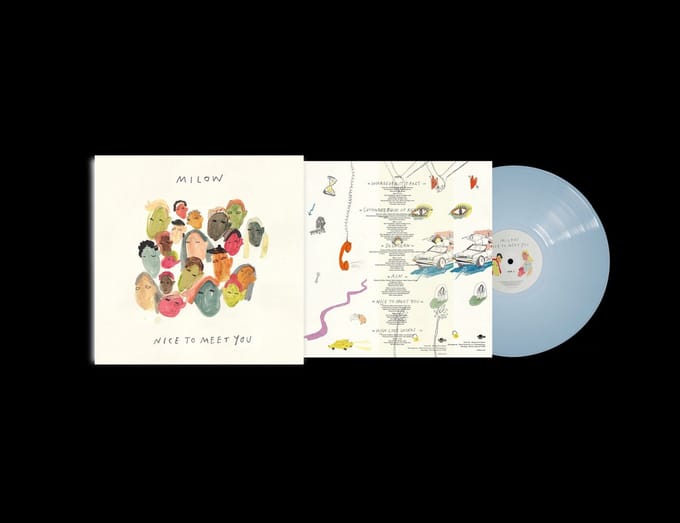 Nice To Meet You (LP) (Coloured Vinyl)