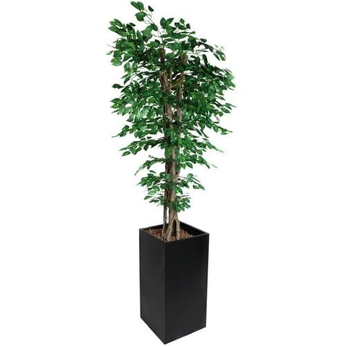GGM Gastro Kunstpflanze "Ficus" - 210cm - mit Topf Groen