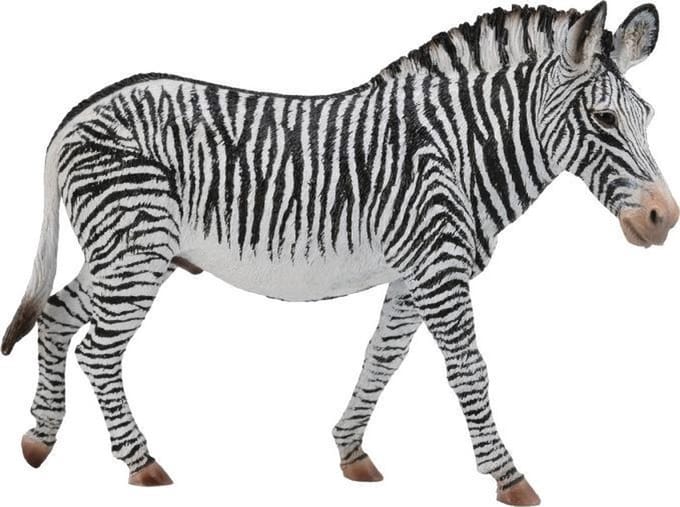 COLLECTA Figurine - Grévyzebra - (Xl) - Wilde Dieren - Handgeschilderd - Miniatuur
