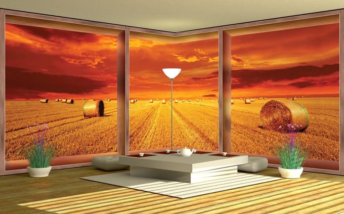 Fotobehang Vlies Natuur | Oranje | GROOT 624x219cm