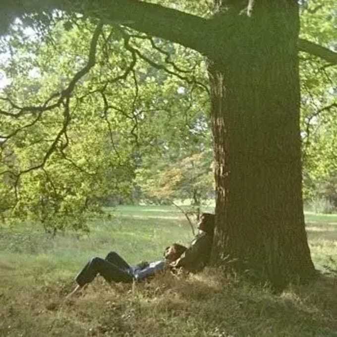 John Lennon & The Plastic Ono Band - John Lennon / Plastic Ono Band (2 LP) (Deluxe Edition)