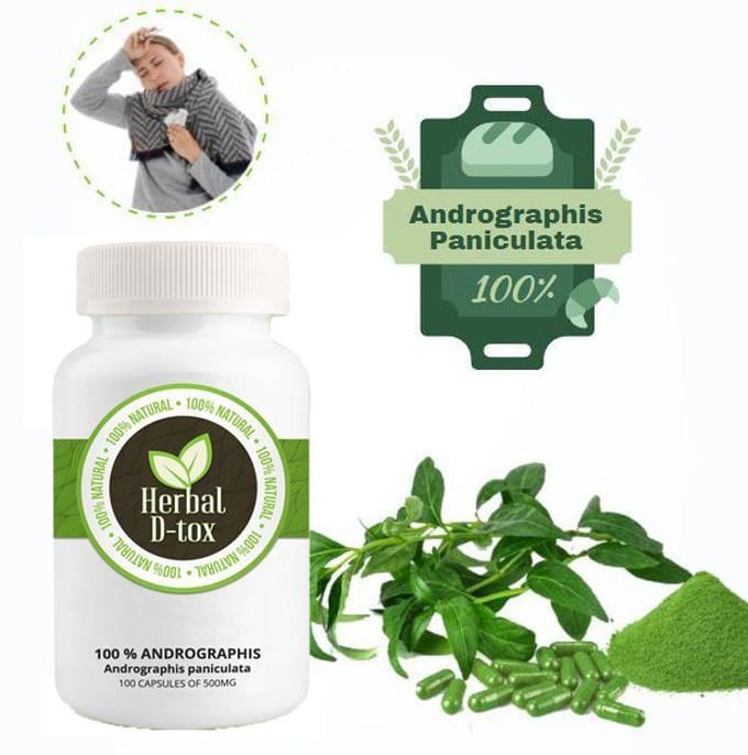 Kruiden D-tox Groene Chirette ~ Andrographis - 100 capsules x 500 mg