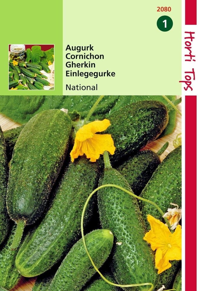 2 stuks Hortitops Augurken National Kleine Groene