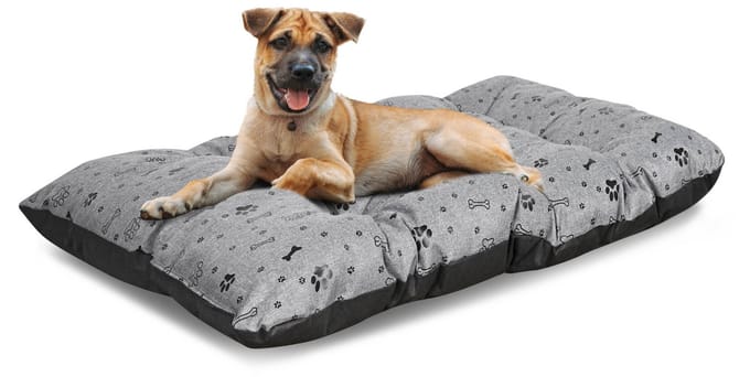 Hondenbedkussen PRESTIGE 80x60 cm waterdicht zilveren botten