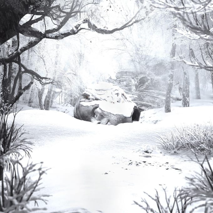 Weezer CD - SZNZ: Winter - voor Geen - standaard