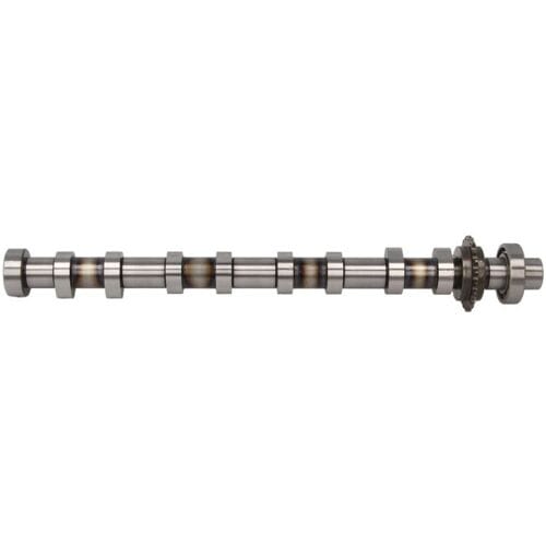 Nokkenas  FRECCIA CM05-2417