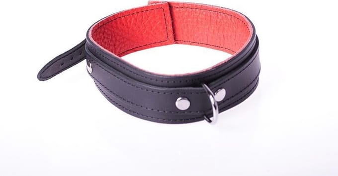 Basic Collar van Leer met Metalen D-Ring en Gesp - Zwart/rood