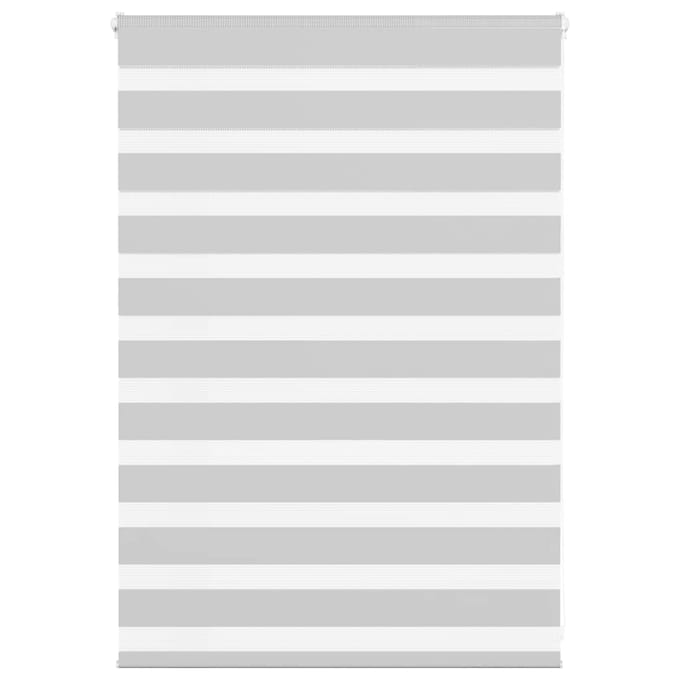 vidaXL - Zebra - rolgordijn - 100x100 - cm - stofbreedte - 95,9 - cm - lichtgrijs