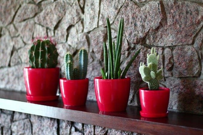 Lamela Magnolia Pot 13.5cm Rood Glanzend