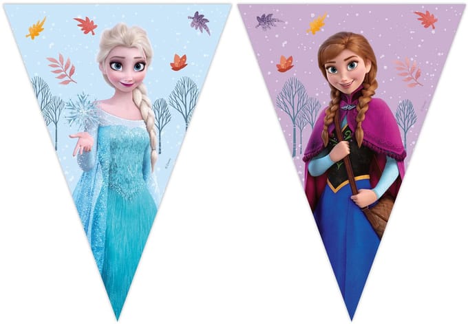 Globos papieren vlaggenlijn Frozen decoratie voor kinderfeestje.