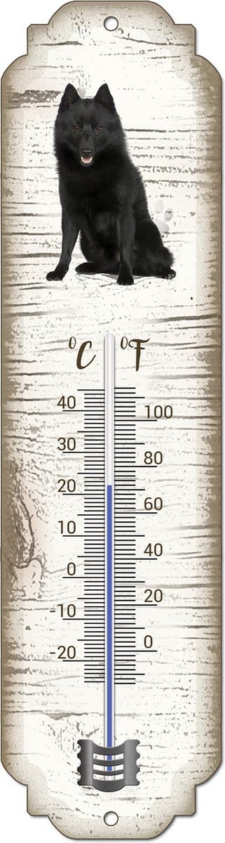 Thermometer: Schipperke | Hondenras | Temperatuur binnen en buiten | -25 tot +45C