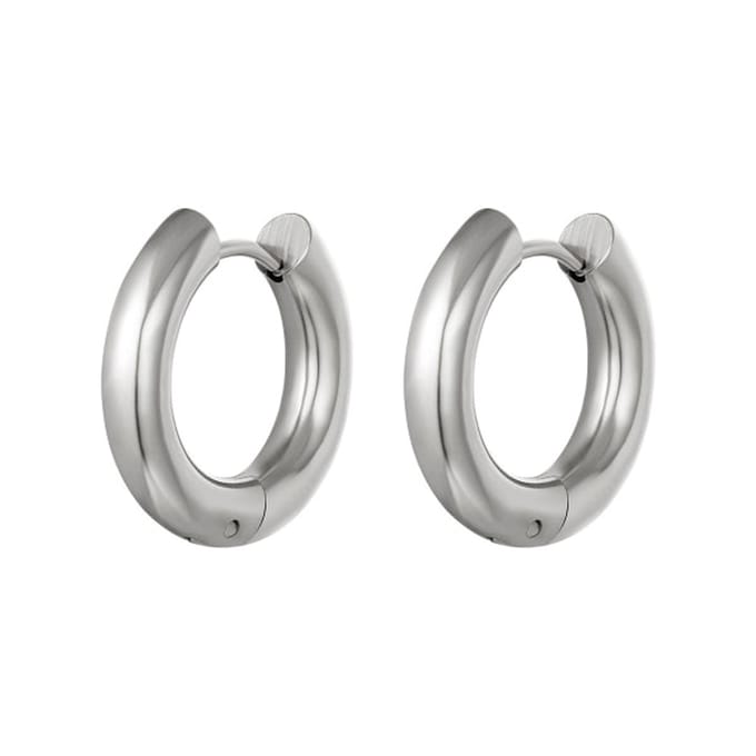 Bijoutheek Oorringen Staal Zilver