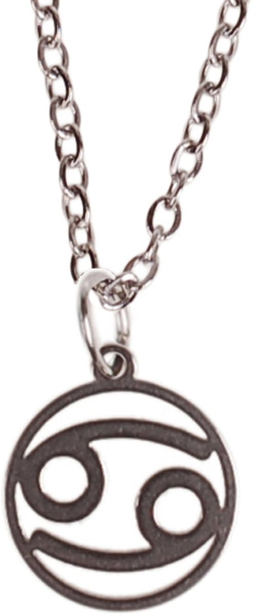Ketting Zilverkleurig 55cm - Hangertje Sterrenbeeld RVS - Kreeft
