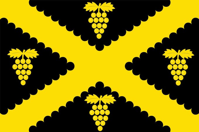 Vlag Wijnegem 100x150cm