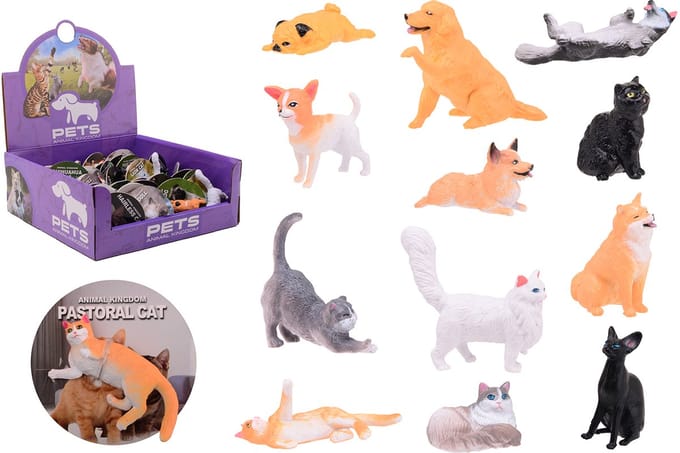 36 dierenwereld huisdieren in disp.26870.