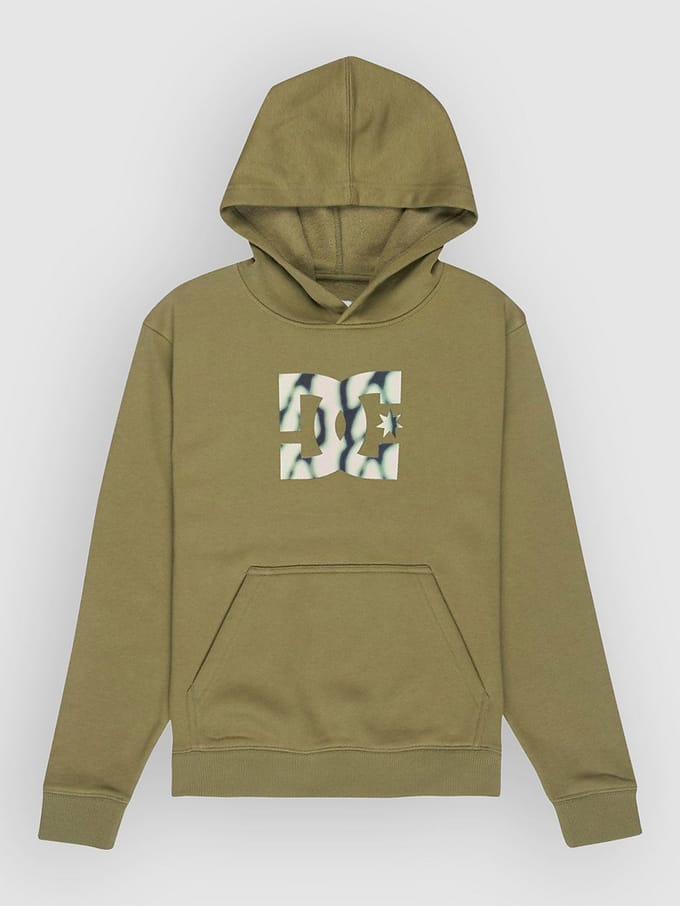 Junior Hoodie DC Shoes Star Filled