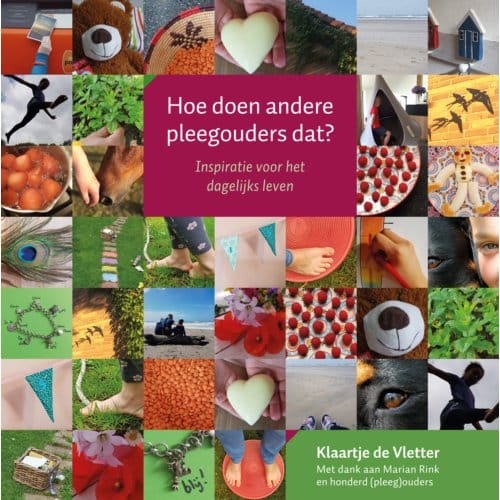 Hoe Doen Andere Pleegouders Dat? - Klaartje de Vletter
