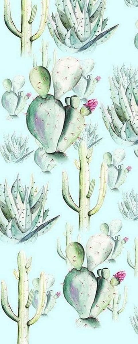 Fotobehang - Cactus Blue 100x250cm - Vliesbehang