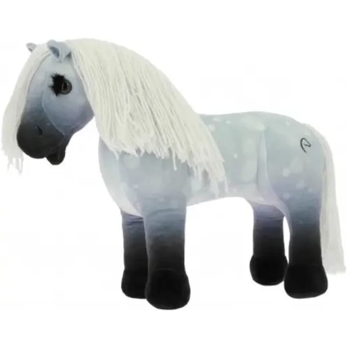 Paardrijden wolk speelgoed voor kinderen Equithème Pony Academy