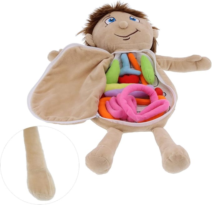 Anatomie Pop - Leren Lichaam - Educatief Spelen - Zachte Pluche Organen - 46 cm Hoog