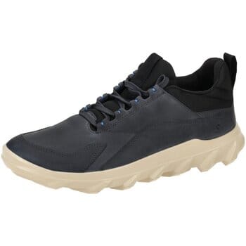 Nette Schoenen Ecco -