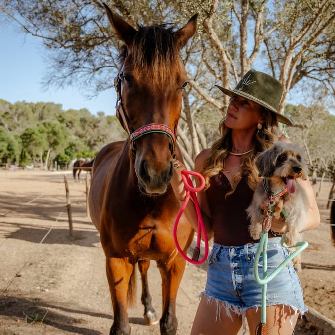 Sweet Mae Paardenhalster - Full
