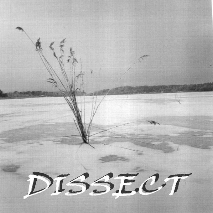 Dissect & Los Rezios - Split (7" Single)
