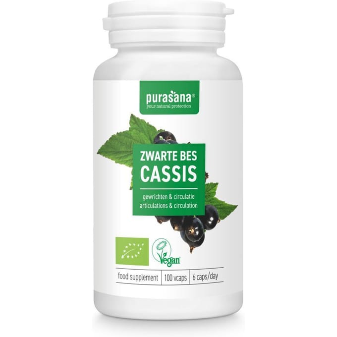 Pit&Pit - Zwarte bes capsules bio 100 pcs. - Zwarte bes blad - Van biologische landbouw
