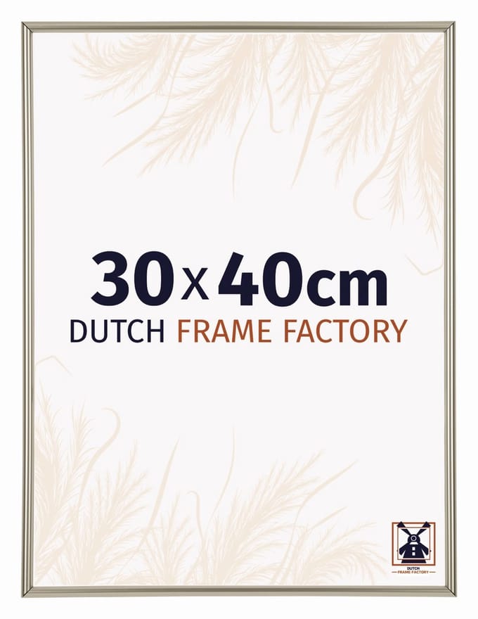 Fotolijst 30x40 cm - Kunststof - Champagne - Angers