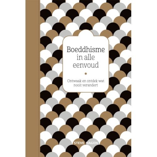 Boeddhisme In Alle Eenvoud - Steve Hagen