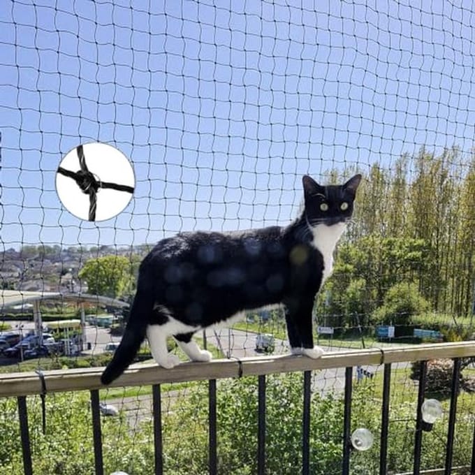 Kattenveiligheidsnet - Balkonnet Kat - Katten Veilig Houden - Draadversterkt Bijtbestendig - 2x1.5m - Zwart