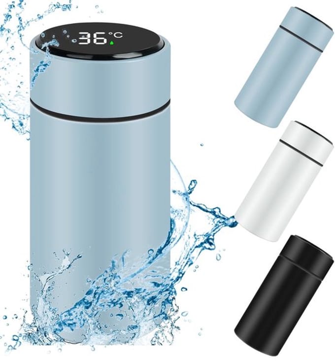 Dailygoody - Mini Thermische Fles - Roestvrijstalen Waterfles - Led