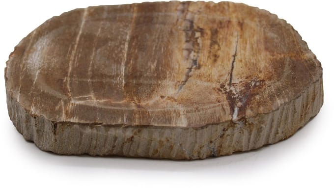 Petrified Wood Brown Soap Dish