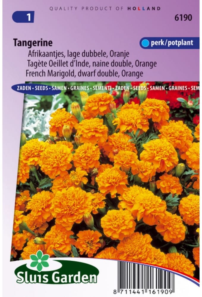 Sluis Garden - Afrikaan Tangerine