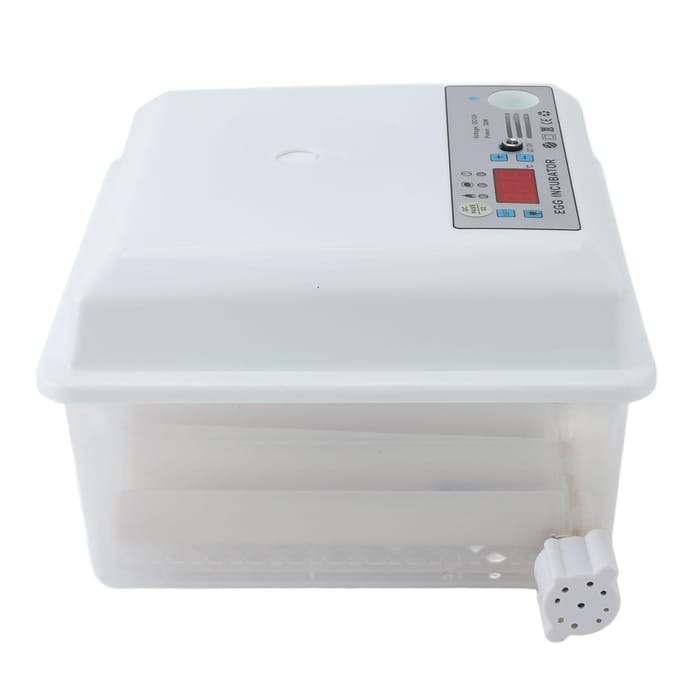 12 Eieren Incubator ABS Schuim Pluimvee Broedmachine met Automatische Temperatuur- en Vochtigheidsregeling white