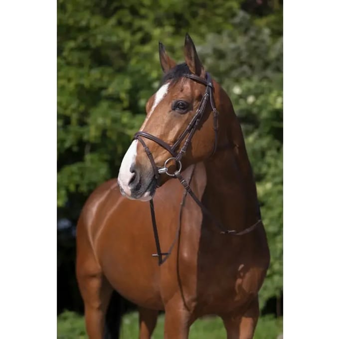 Hoofdstellen Riding World Muserolle