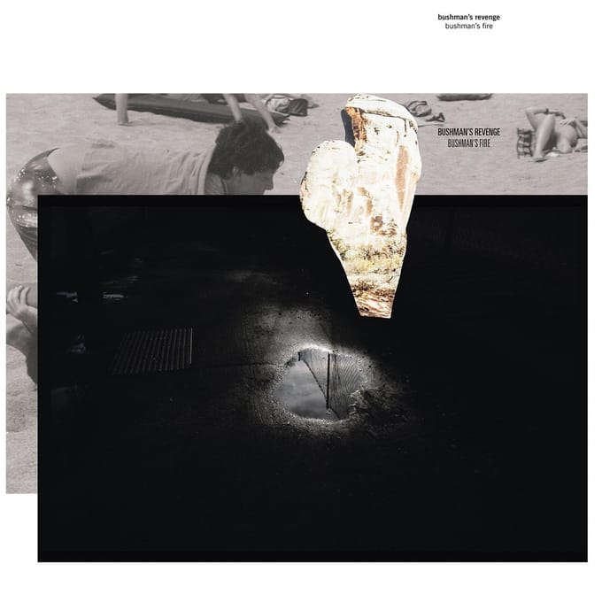 Bushman's Revenge - Bushman's Fire (LP)