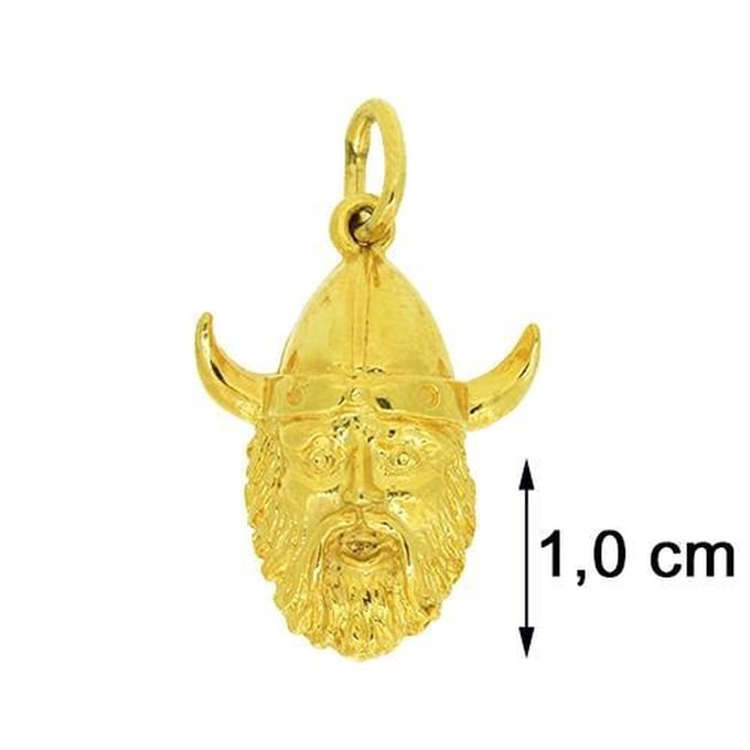 Blinx Jewels Vergulden Hanger Vikingshoofd
