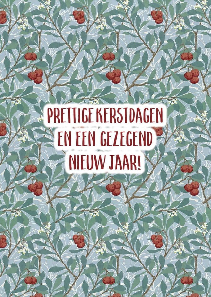 Kerstkaart 'Prettige kerstdagen - besjes dik' ' 12 stuks met envelop