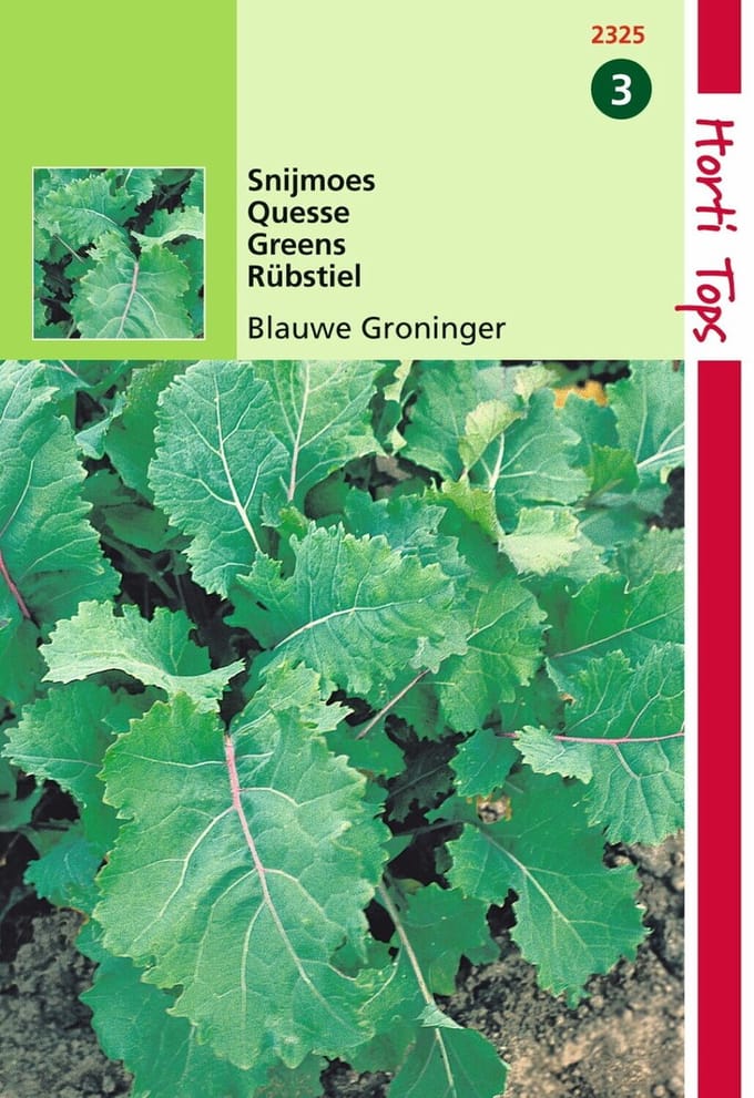 2 stuks - Hortitops - Snijmoes Blauwe Groninger