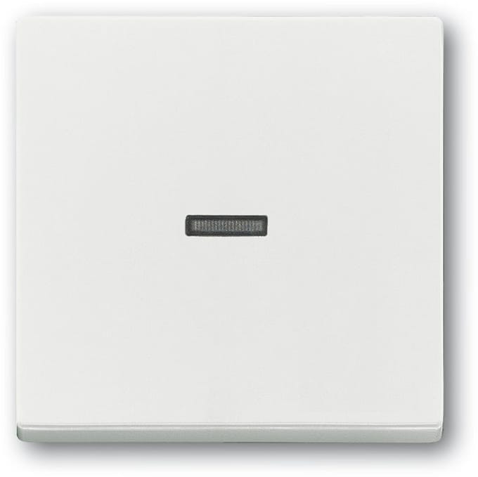 ABB Busch-Jaeger Schakelelement/Centrale Plaat - 2CKA001751A3153