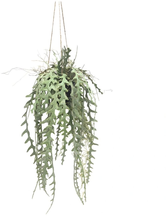 Kunstplant Zaagtand Cactus Hang - 107 cm