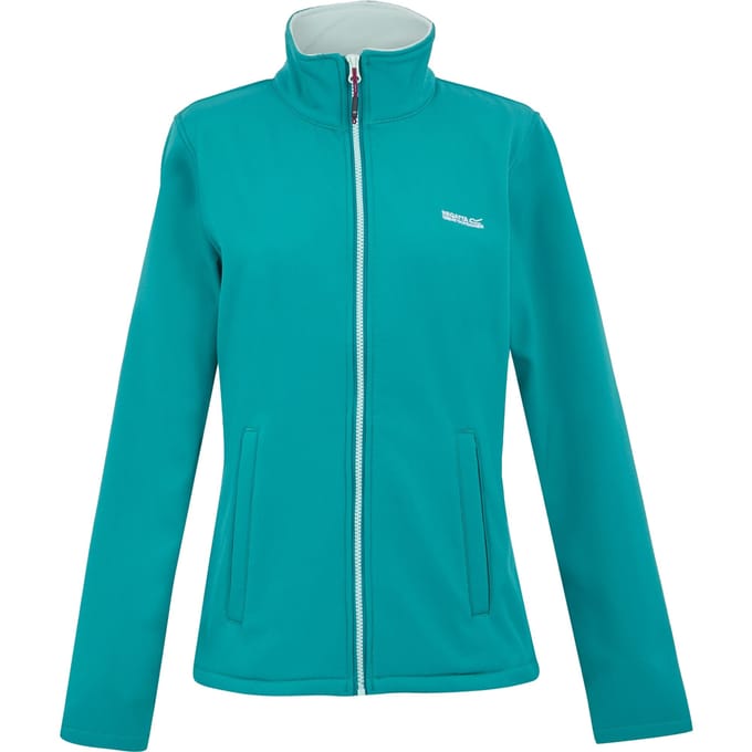 Regatta Dames/dames Connie V Softshell wandeljack (Exotisch pruim/Icy ochtend)