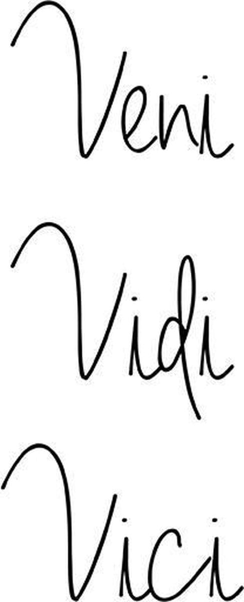Poster Veni Vidi Vici - 30x40 cm - Quotes Poster - WALLLL