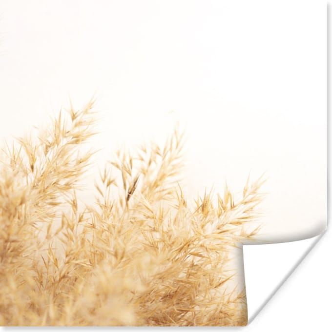 Poster Tarwe - Natuur - Zon - 30x30 cm