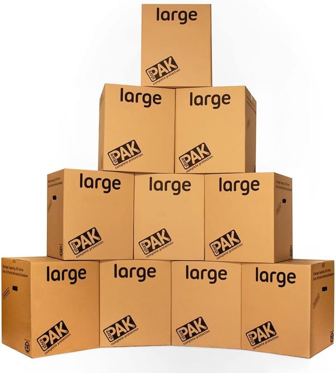 Grote Opbergdozen met Handgrepen - 116 Liter - 10 Stuks - 55x46x46cm