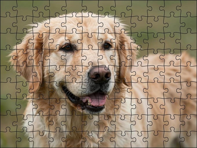 Puzzel Golden Retriever | 120 stukjes | Dierenpuzzel | Hondenpuzzel