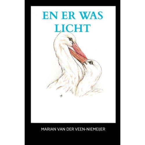 En Er Was Licht - Marian van der Veen-Niemeijer
