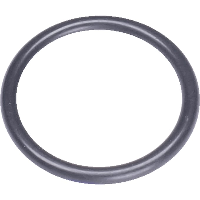 O-ring