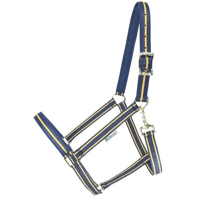 Halster voor paarden Bucas Dublin